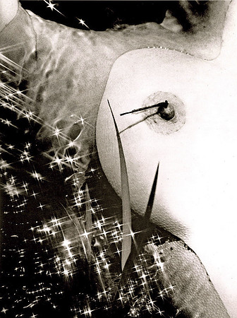 River Nude With Dragonfly, 1980