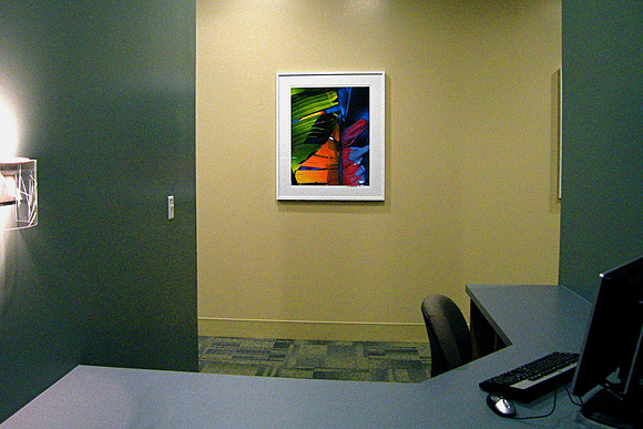 Urban Palm Print Installation- South Lake Hospital Collection, 2009
